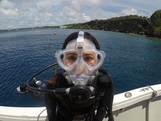 クマノミとダイバー